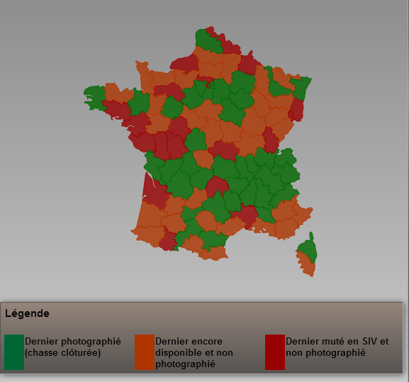 France map using Flash